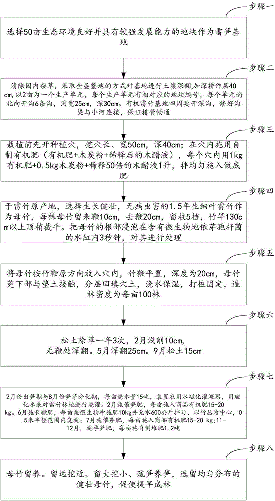 Planting method of phyllostachys pracecox shoots