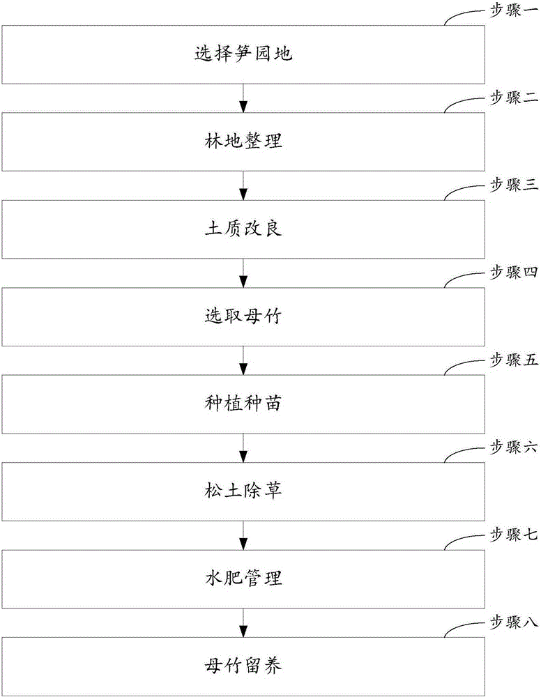 Planting method of phyllostachys pracecox shoots