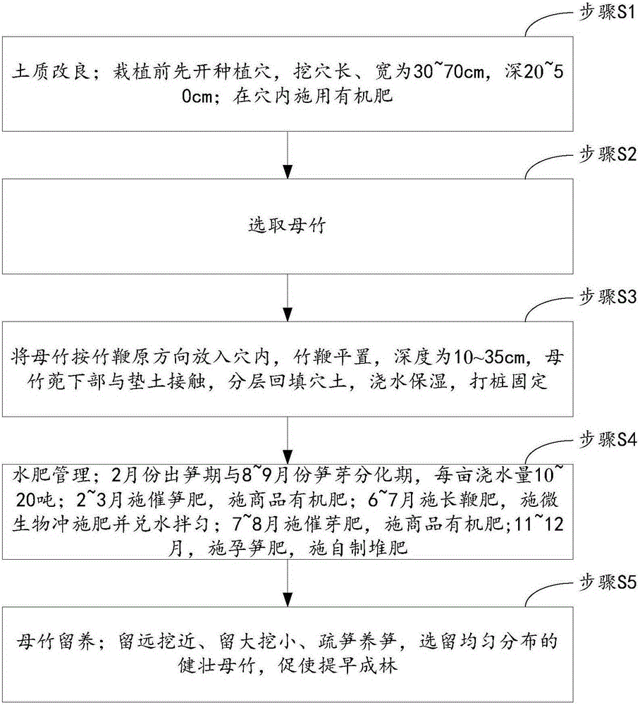 Planting method of phyllostachys pracecox shoots