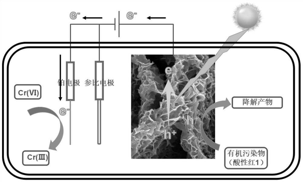 A kind of nickel foam composite material and its preparation method and its application in photoelectric catalytic removal of water pollutants