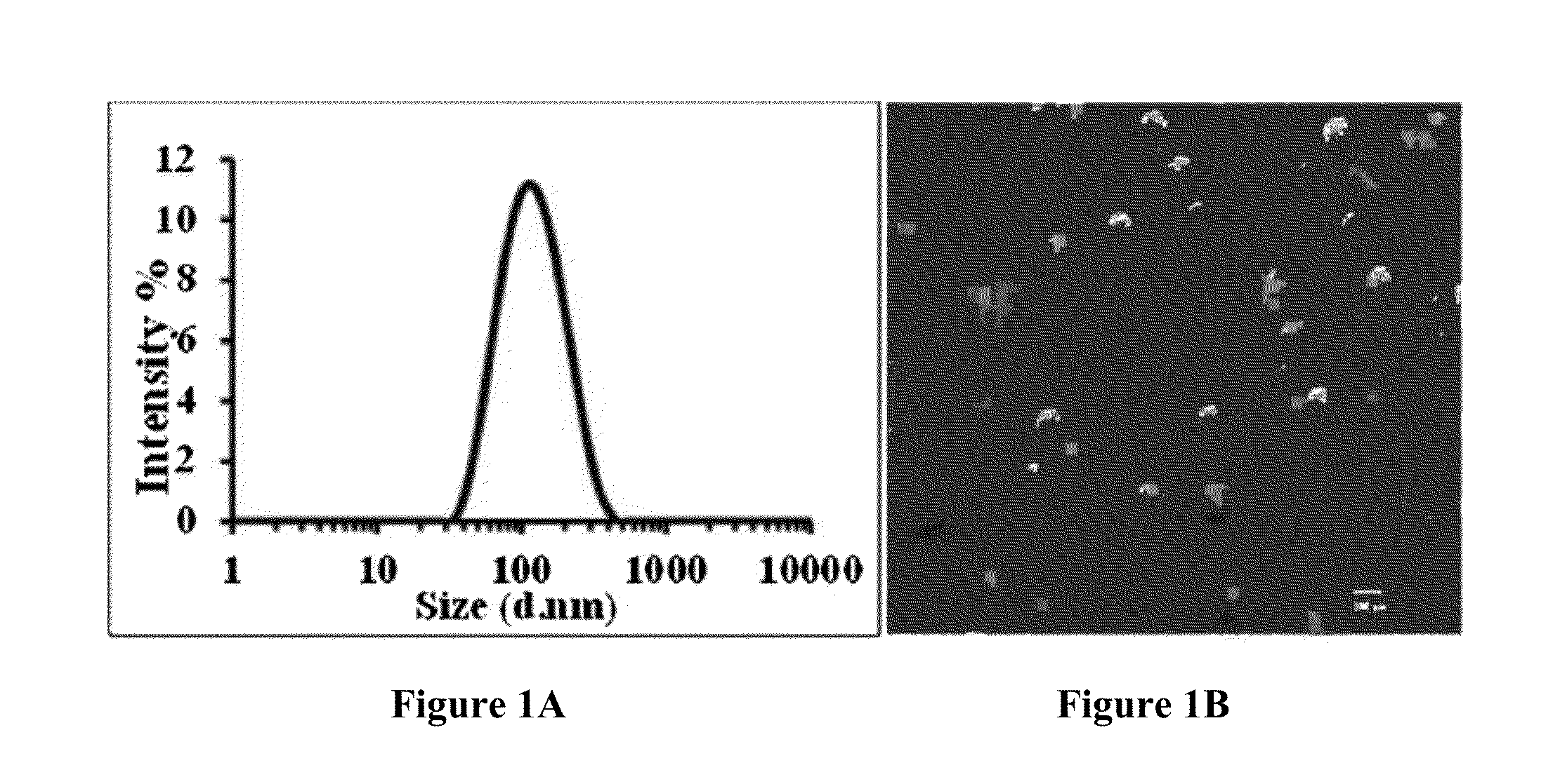 Liposomal drug encapsulation