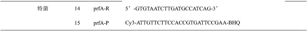 Primer probe composition capable of detecting five pathogenic bacteria at same time and multiplex real-time fluorescence PCR method