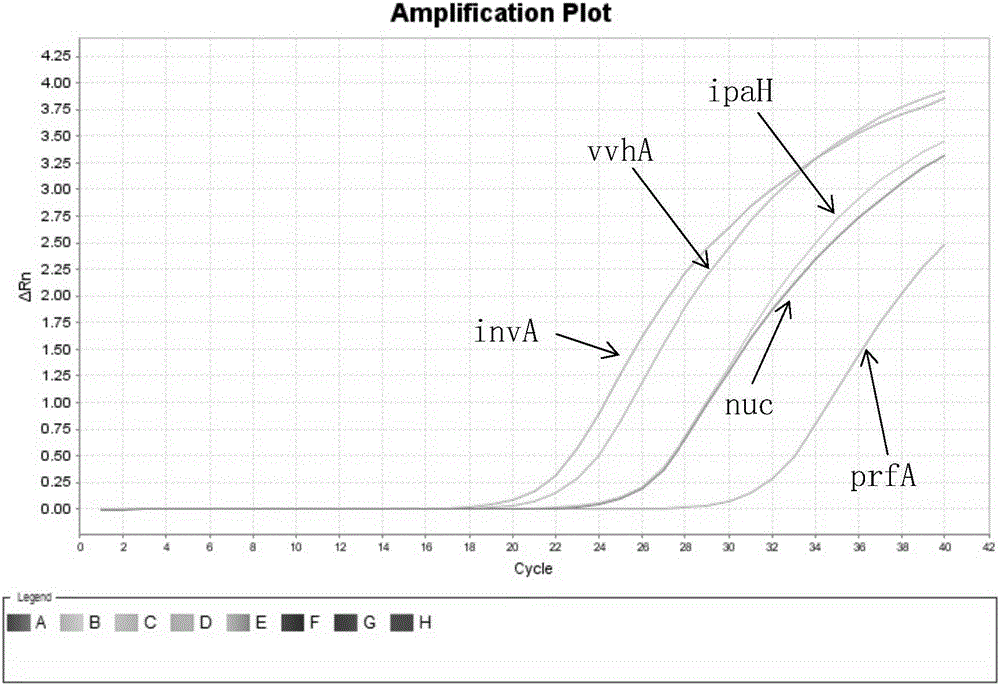 Primer probe composition capable of detecting five pathogenic bacteria at same time and multiplex real-time fluorescence PCR method