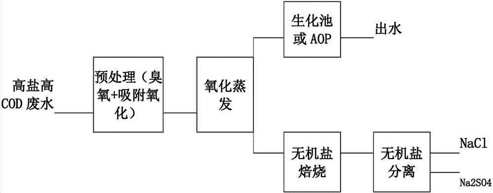 Apparatus for combined processing of high-salinity high-COD sewage and processing method