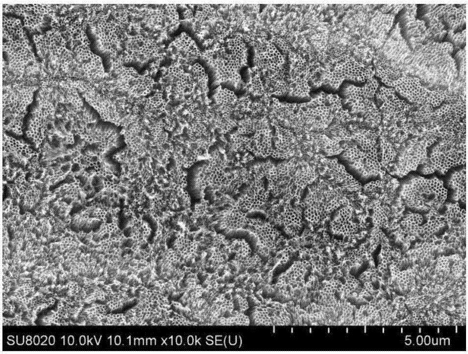 Tin-molybdenum codoped titanium dioxide nanotube array electrode and preparation method