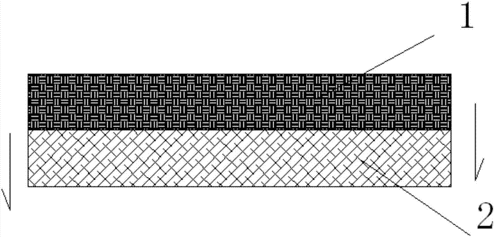 Method for preparing double-layer membrane for spinal cord treatment