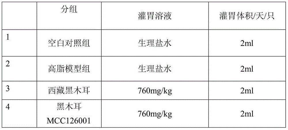 Novel pure culture of Auricularia auricula and artificial cultivation method thereof