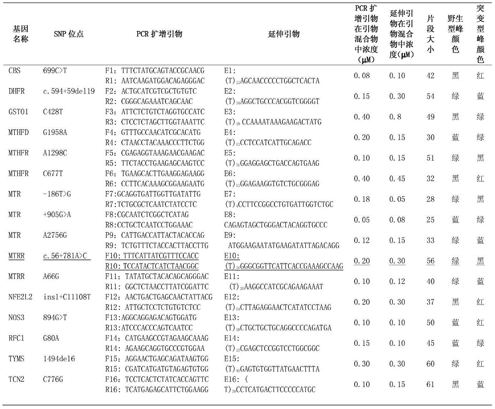 Folic acid demand genetic detection kit and application thereof