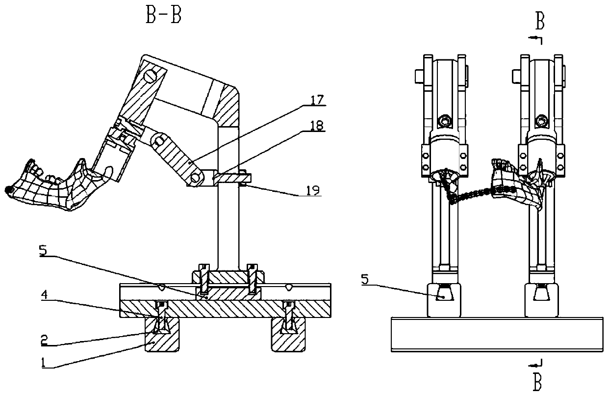 Spatially adjustable fixture for fixing mandibular models of different sizes