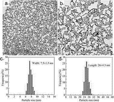 Rhotanium nano rod with good near-infrared light absorption performance and photoelectrocatalysis performance and preparing method of rhotanium nano rod