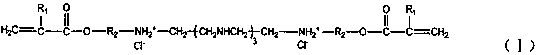 A kind of polycation anti-mud type polycarboxylate superplasticizer and preparation method thereof