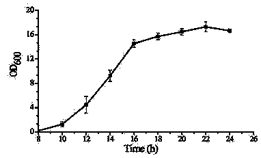 A kind of high-density fermentation process of powdery Pichia pastoris