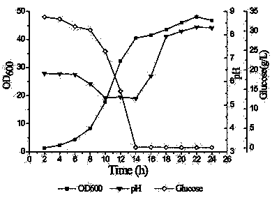 A kind of high-density fermentation process of powdery Pichia pastoris