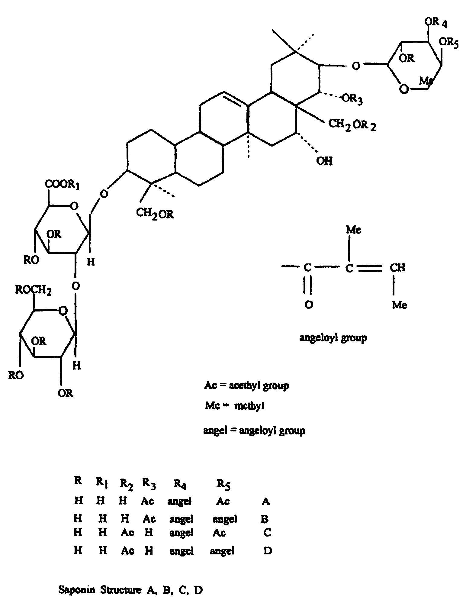 Composition comprising wenguanguo extracts, methods for preparing same and uses thereof