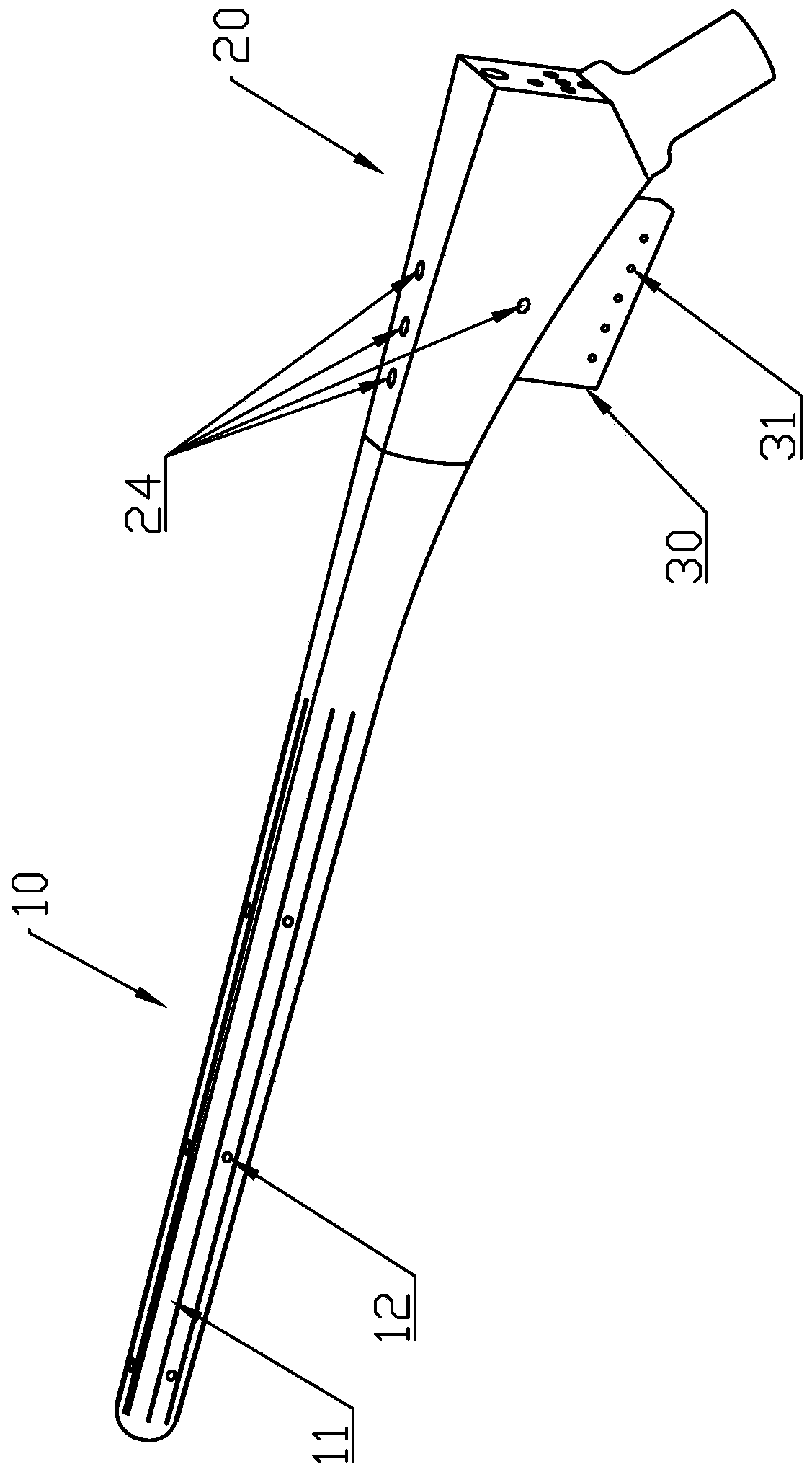 hip femoral prosthesis