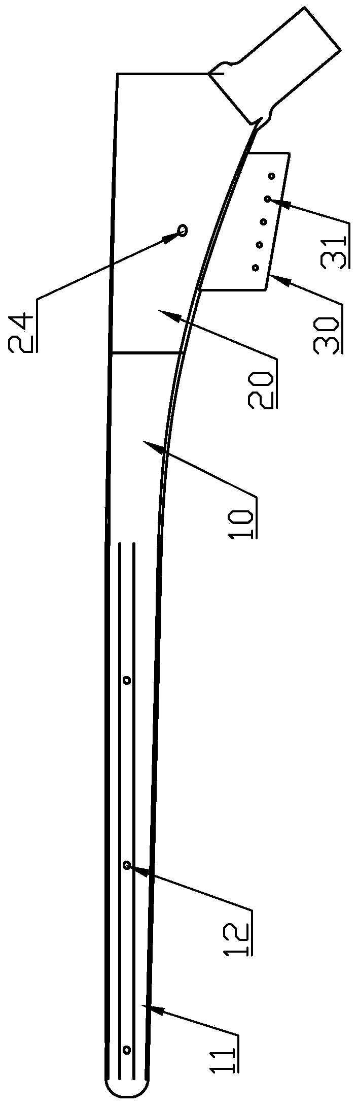 hip femoral prosthesis