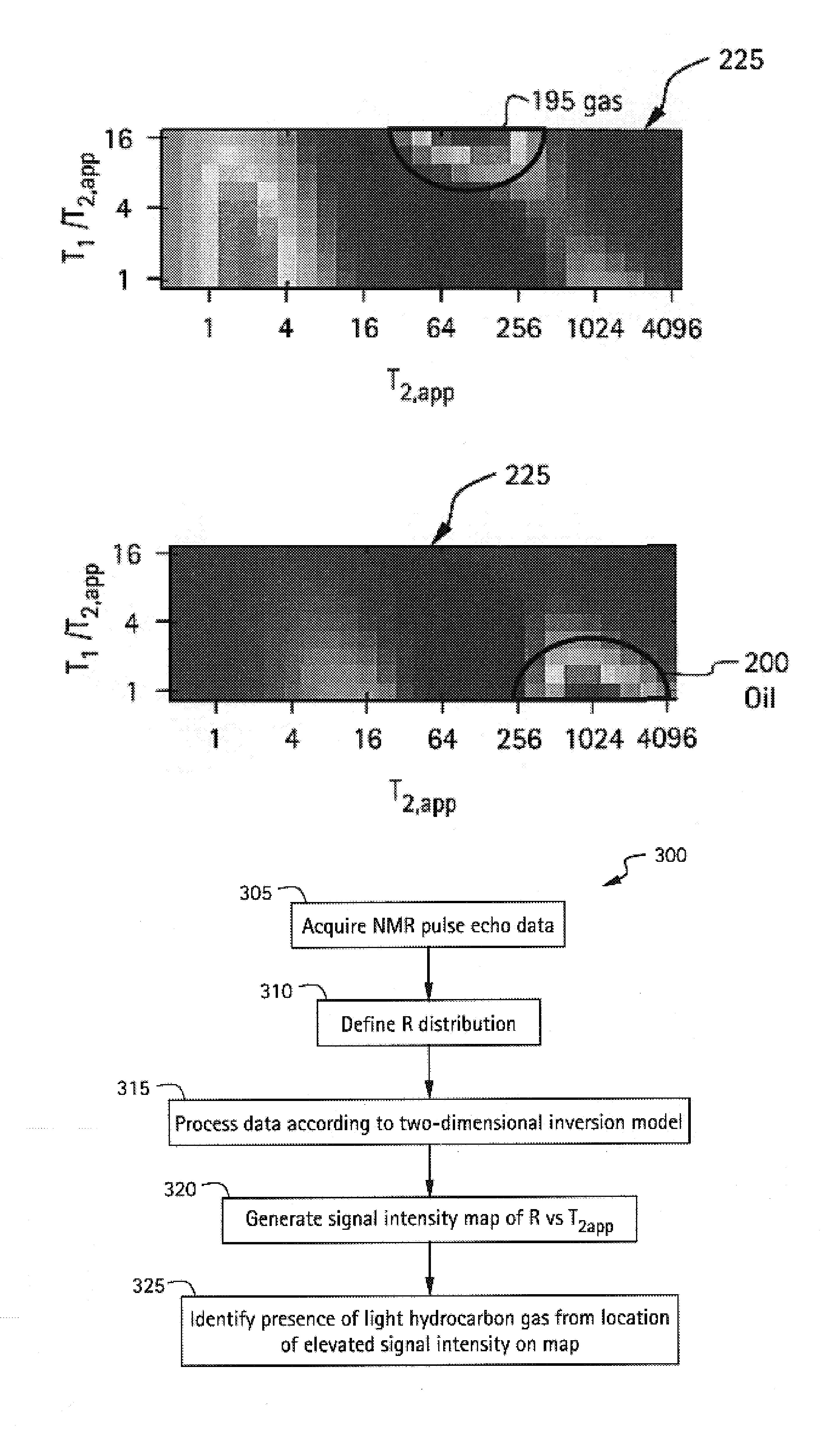 Method and apparatus for reservoir fluid characterization in nuclear magnetic resonance logging