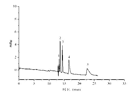 Preparation method of open tubular capillary electrochromatographic column