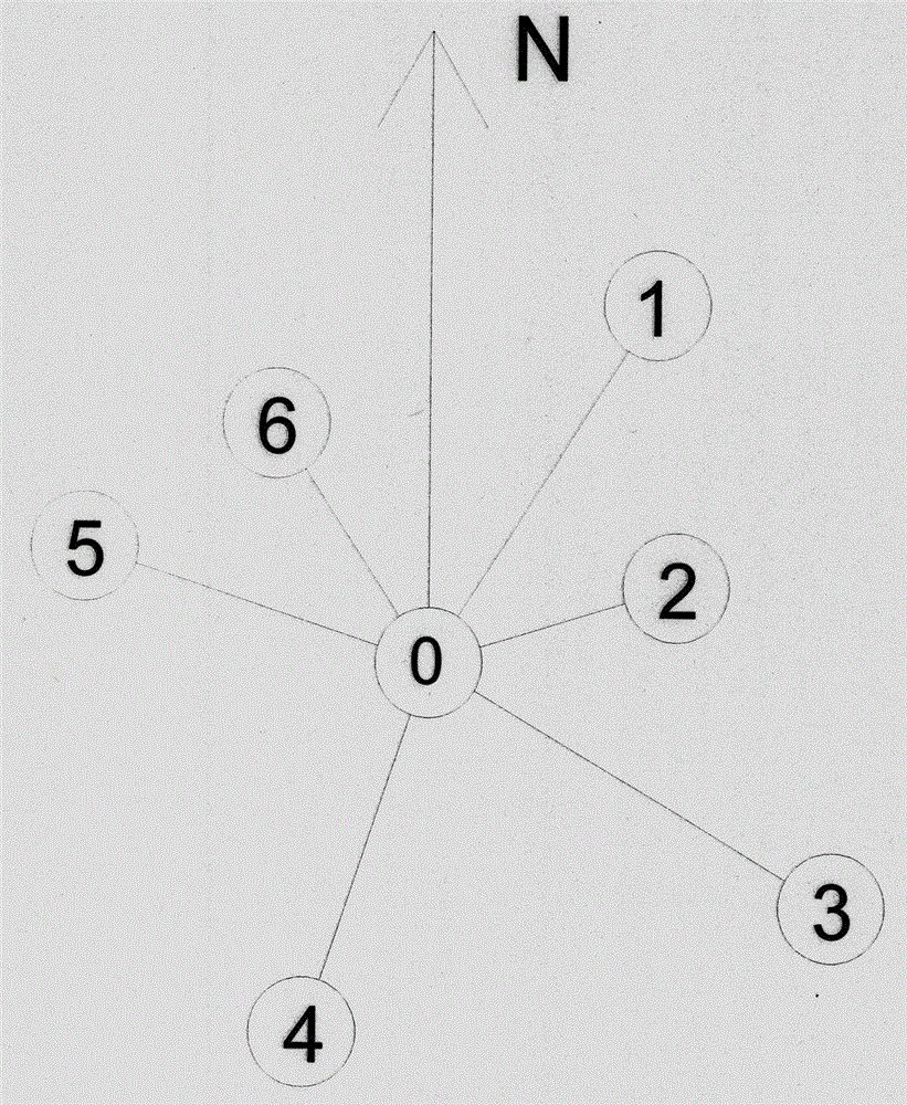 Method for measuring and calculating forest stand mingling degree by adopting seven-tree method