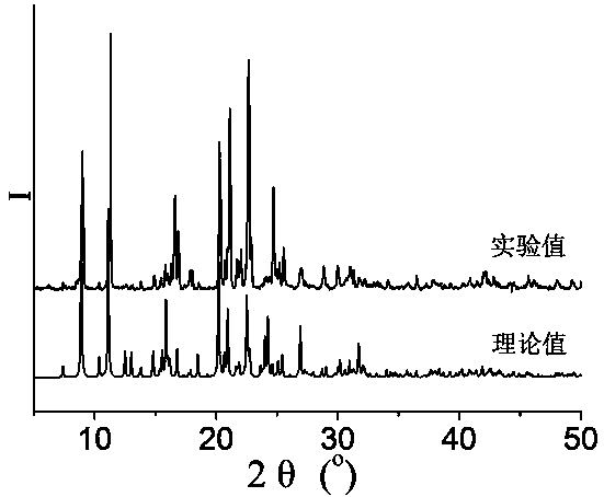 Transition metal complex based on semirigid bipyridine bisamide organic ligand and terephthalic acid as well as synthetic method and application of transition metal complex