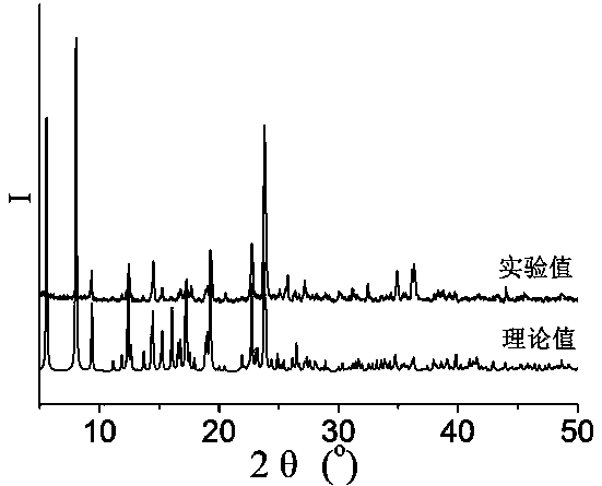 Transition metal complex based on semirigid bipyridine bisamide organic ligand and terephthalic acid as well as synthetic method and application of transition metal complex