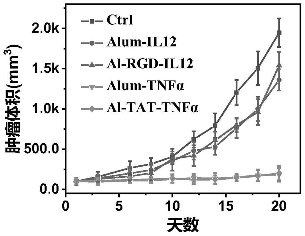 Aluminum nanocrystal composite immune drug as well as preparation method and application thereof