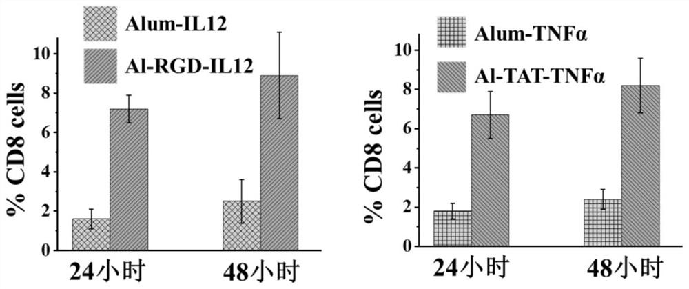 Aluminum nanocrystal composite immune drug as well as preparation method and application thereof