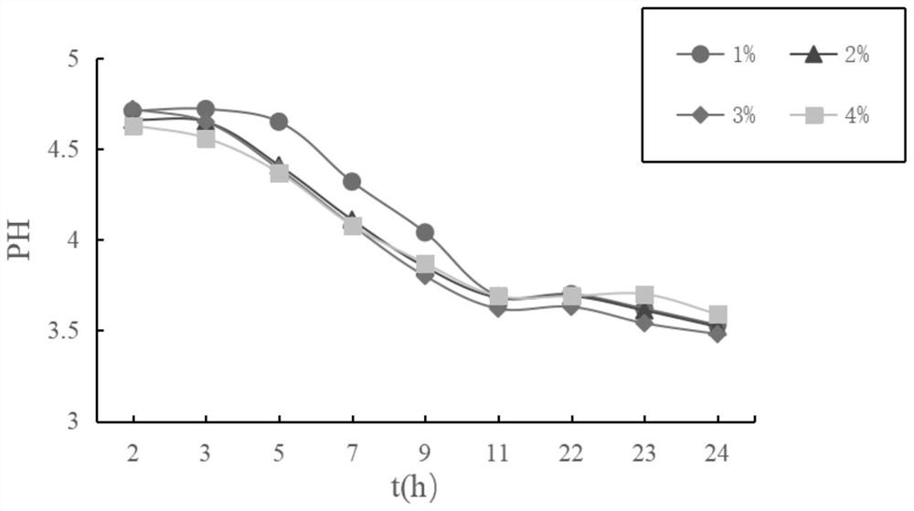 Bean curd preparation method for improving elasticity of bean curd based on sour pulp coagulator