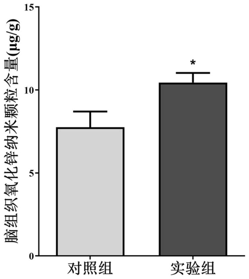 Administration method for transferring zinc oxide nano-particles into brain through gustatory nerves