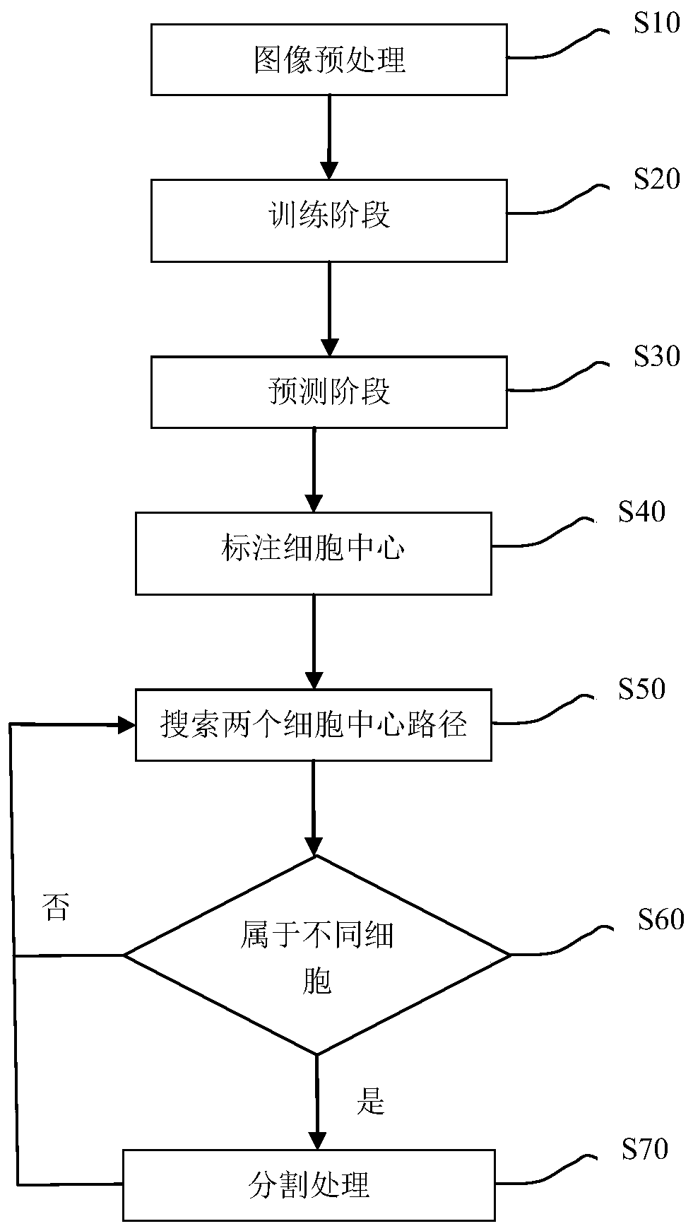 Cell image segmentation method based on graph path search and deep learning