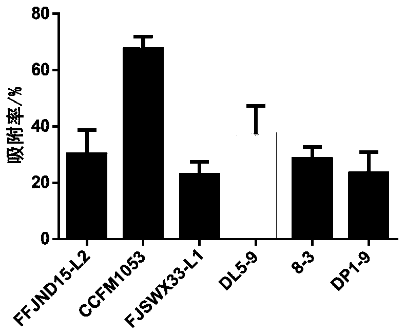 Multifunctional lactobacillus buchneri CCFM1053 for relieving PFOA toxic action as well as fermented food and application thereof