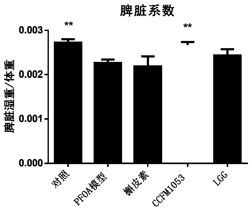 Multifunctional lactobacillus buchneri CCFM1053 for relieving PFOA toxic action as well as fermented food and application thereof