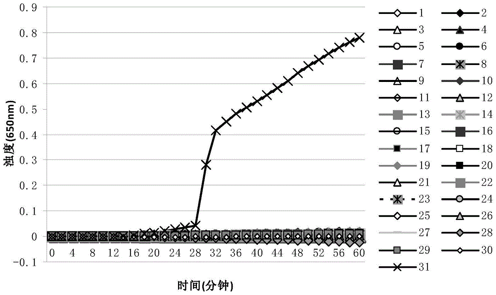 LAMP kit and special primer thereof for detecting streptococcus pyogenes