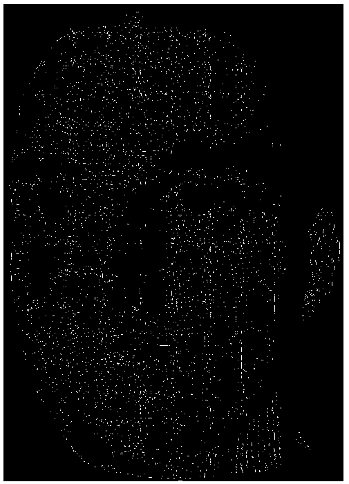 Three-dimensional face identification method based on multi-scale covariance descriptor and local sensitive Riemann and sparse classification