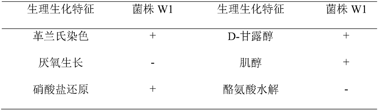 A Bacillus amyloliquefaciens strain w1 for controlling plant spider mites and its application