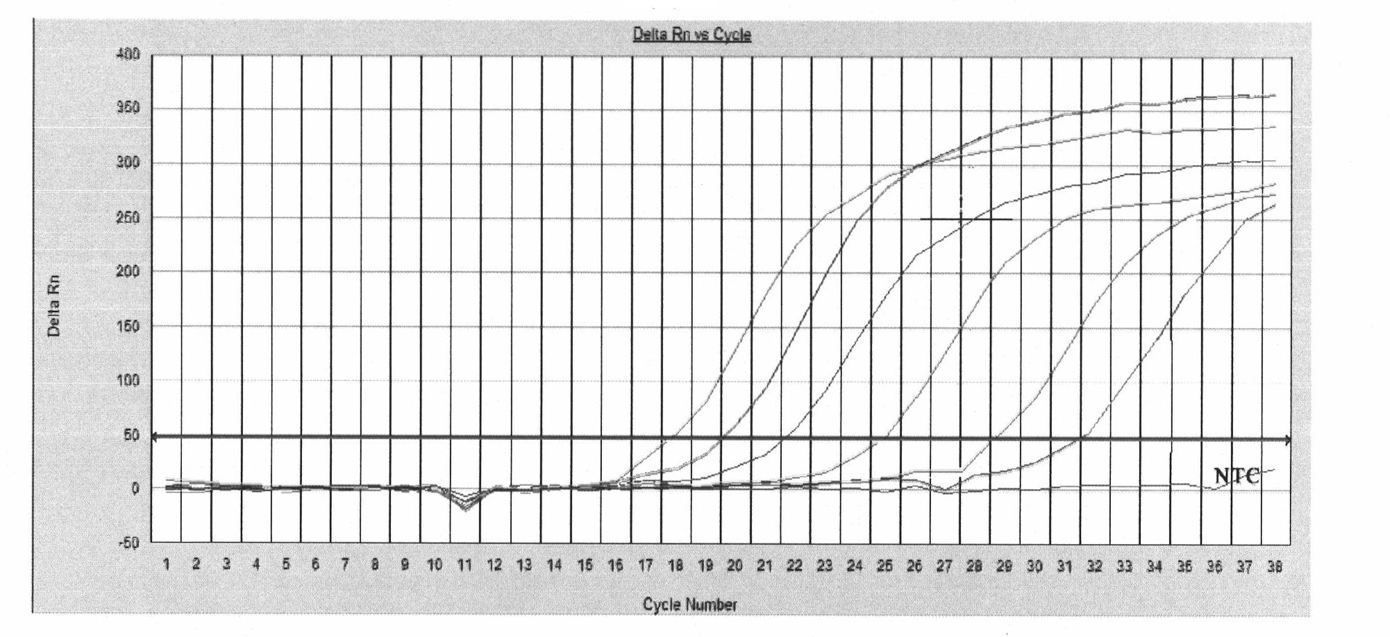 Quantitative detection technique for fusarium graminearum infestation quantity in wheat grains