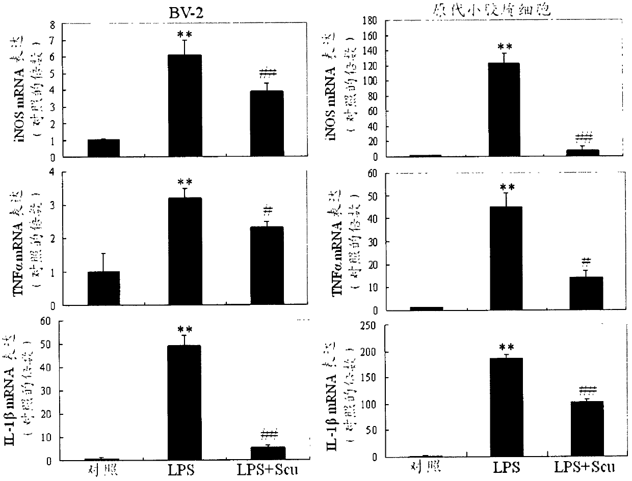 Application of scutellarin to treatment of microglia-mediated diseases