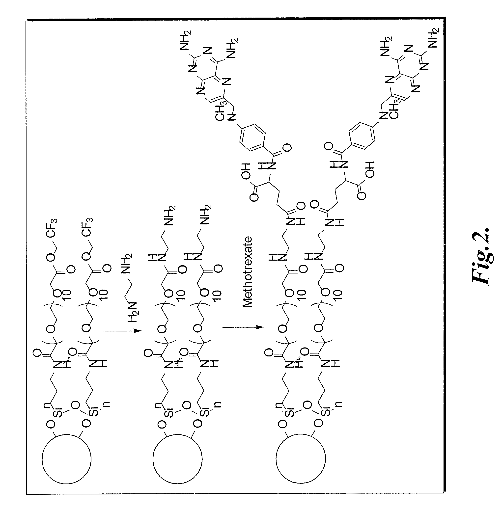 Methotrexate-modified nanoparticles and related methods