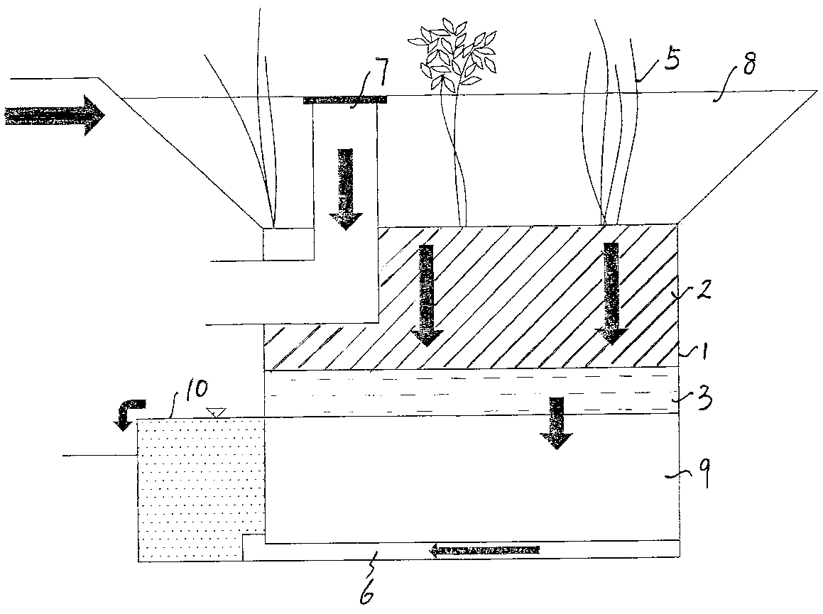 Bacteria filter for urban rainwater collecting