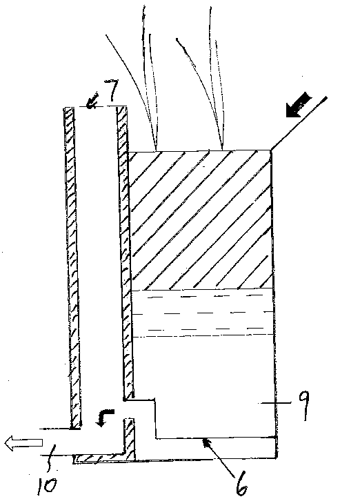 Bacteria filter for urban rainwater collecting