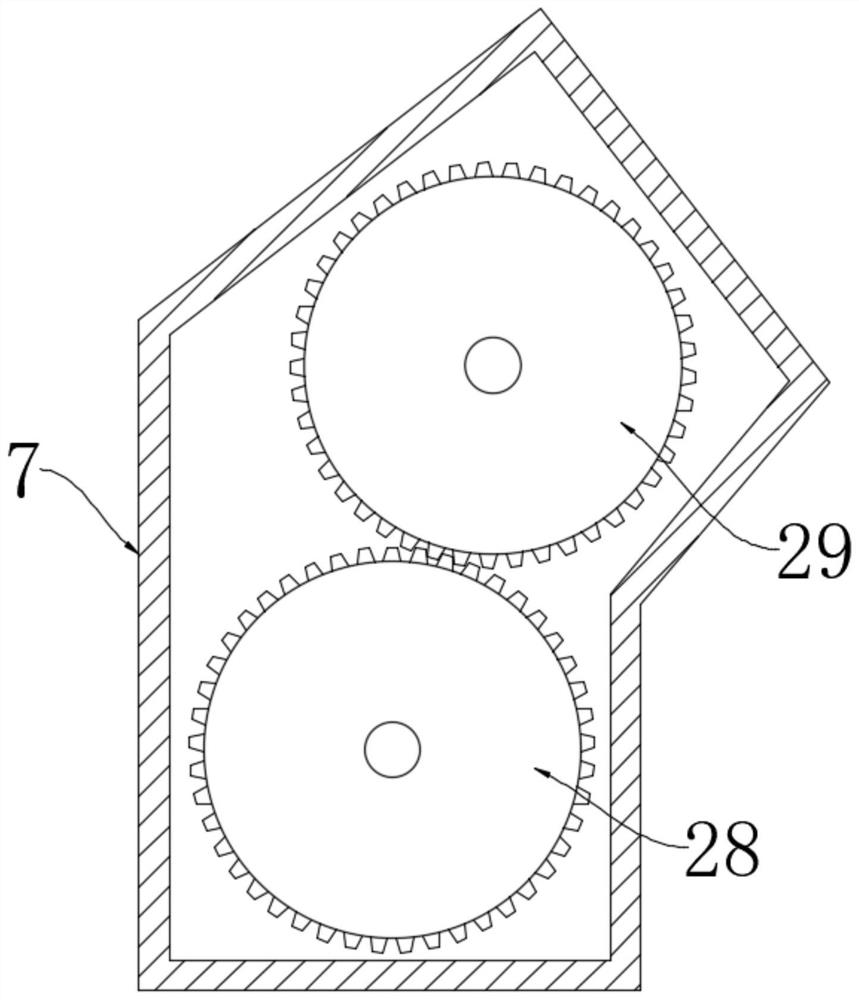 Feeding device for piglet feed production and working method of feeding device