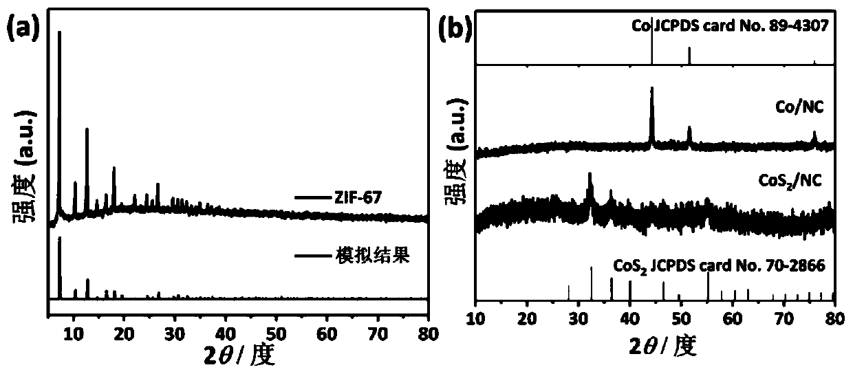 Cobalt disulfide/carbon-nitrogen composite material for water electrolysis oxygen evolution, and synthesis method thereof