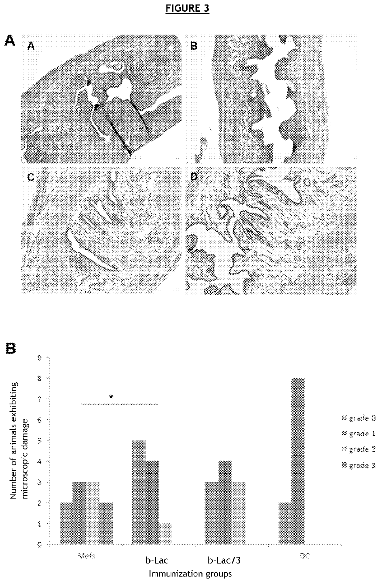 Vaccine composition against chlamydiaceae infections