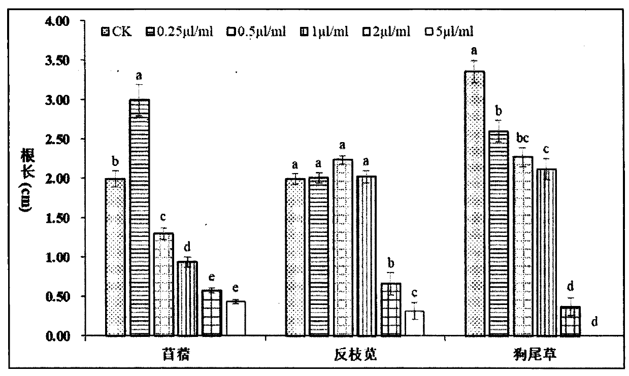 Application of natural monotepene compound sabinene in preparing herbicide