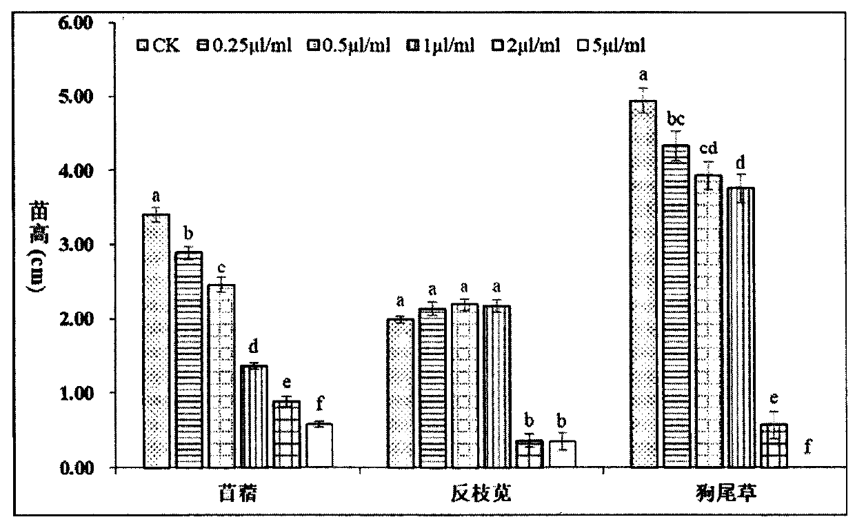 Application of natural monotepene compound sabinene in preparing herbicide