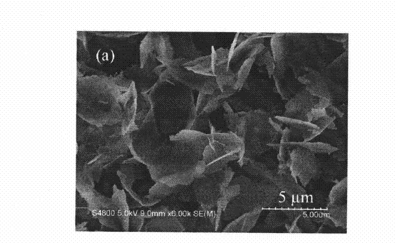 Method for preparing flake porous ZnO nano powder