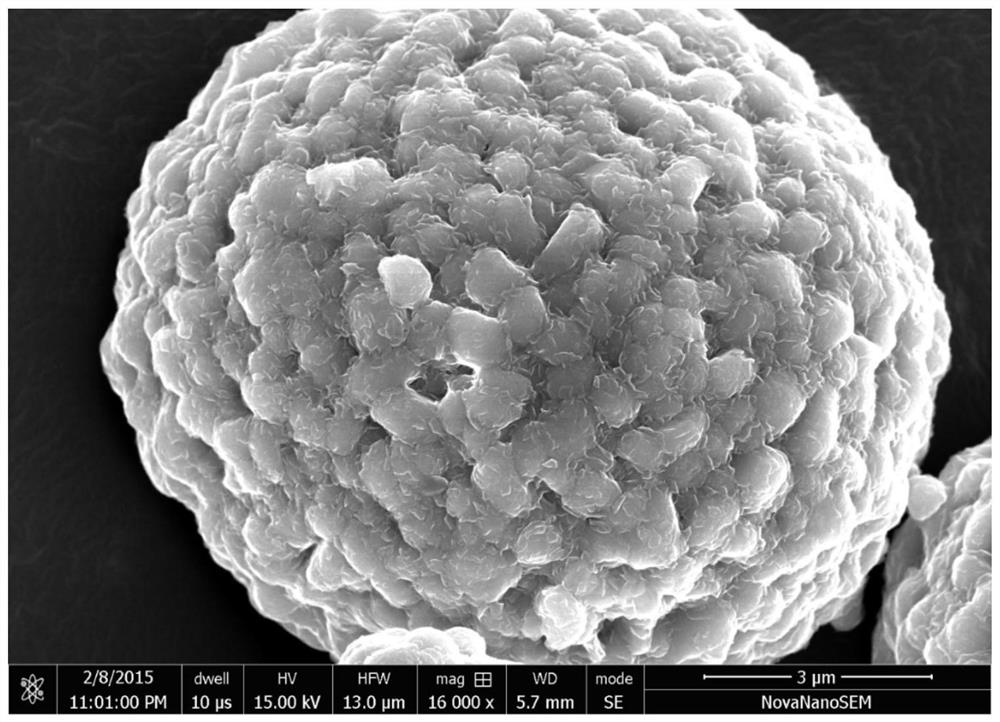 A treatment process to improve the stability and conductivity of high-nickel cathode materials