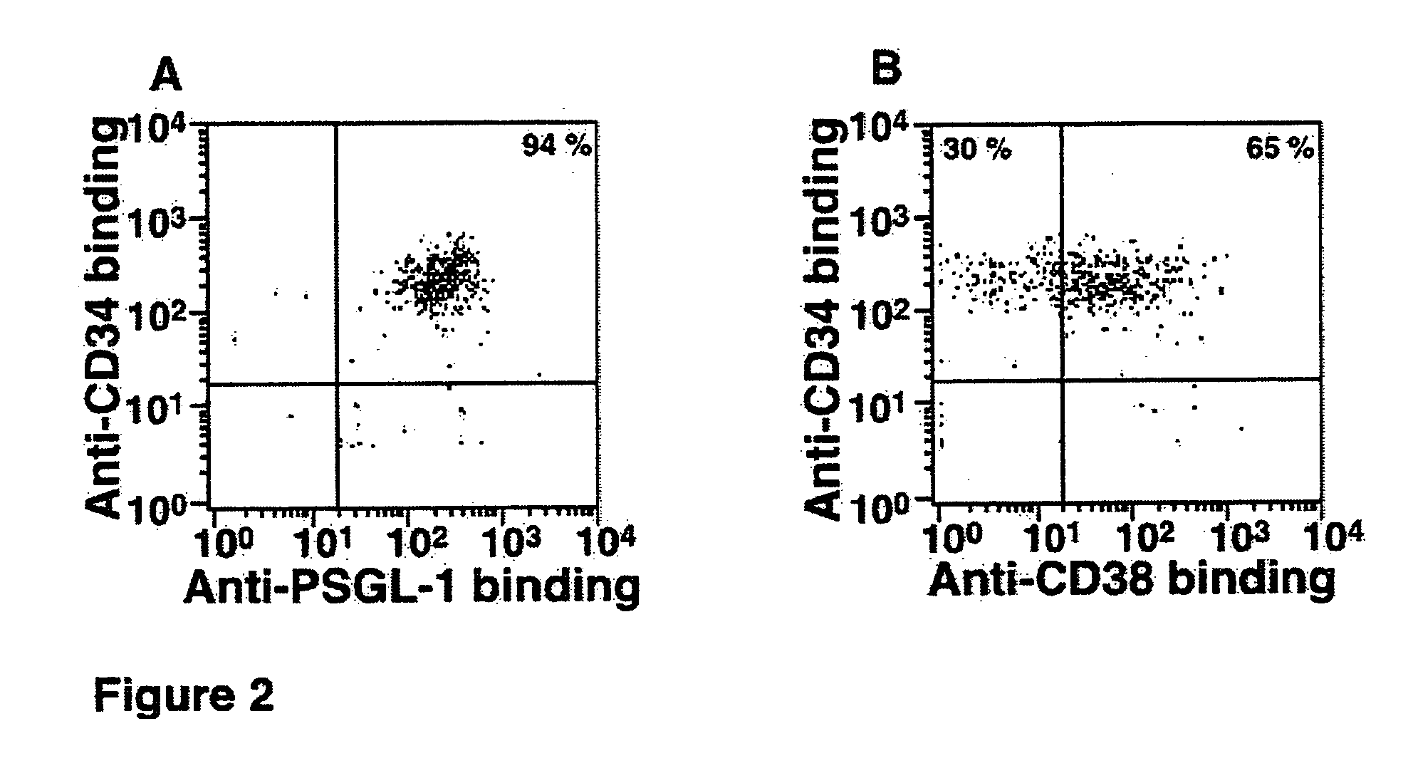 Hematopoietic stem cells treated by in vitro fucosylation and methods of use