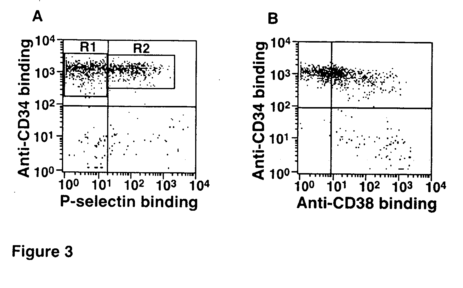 Hematopoietic stem cells treated by in vitro fucosylation and methods of use