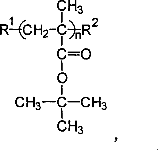 Preparation of polymethyl tert-butyl acrylate large molecular monomer by atom transfer radial